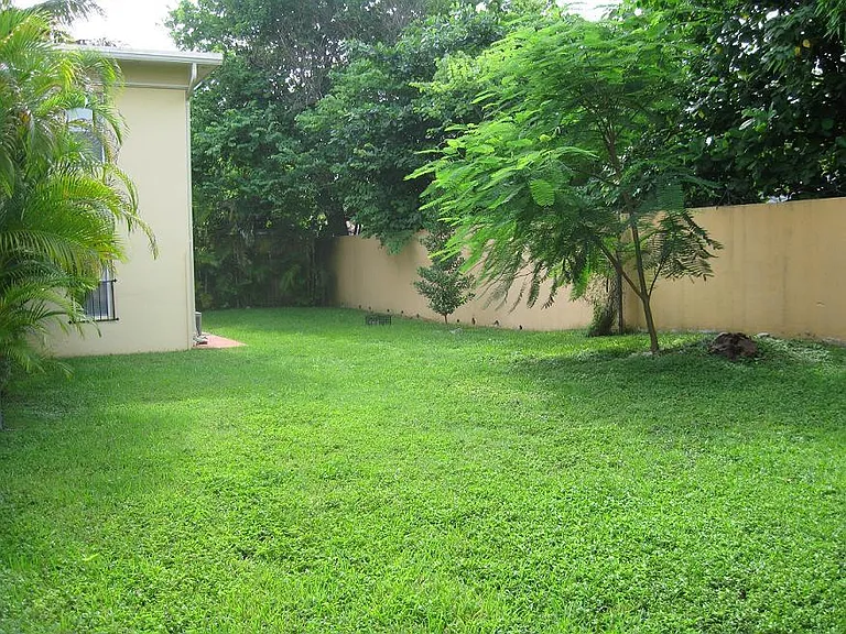 Shared Yard