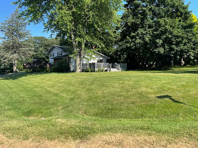 BACKYARD 7_06252024