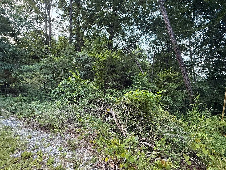 2nd image of 0 Morrison Ln