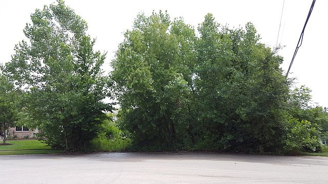 2nd image of 1334 Bluebell Ln
