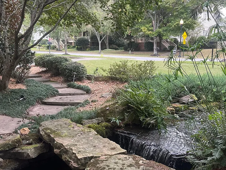 Koi Pond