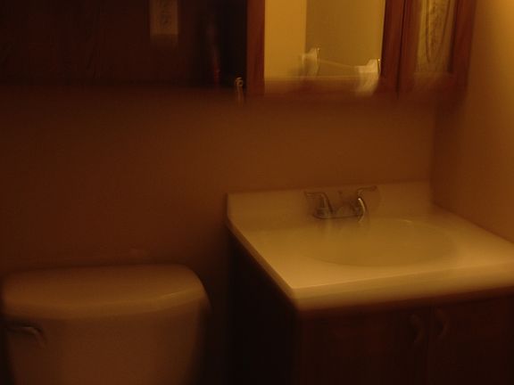 5th image of 3969 Larchview Dr