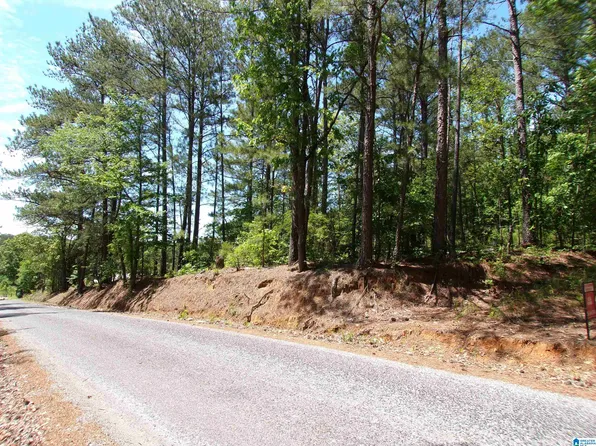 1 Saint Mary Rd S #1, Lincoln, AL 35096