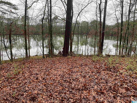 2nd image of 4402 Camp Coleman Rd