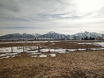 Backyard Mountain View