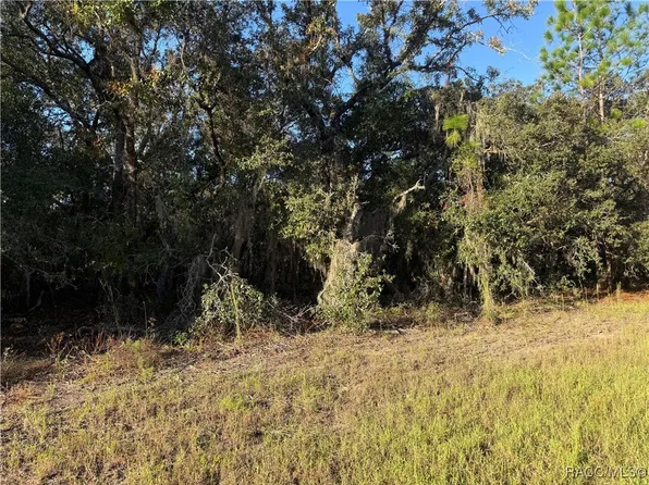 3238 N Sheriff Dr, Beverly Hills, FL 34465