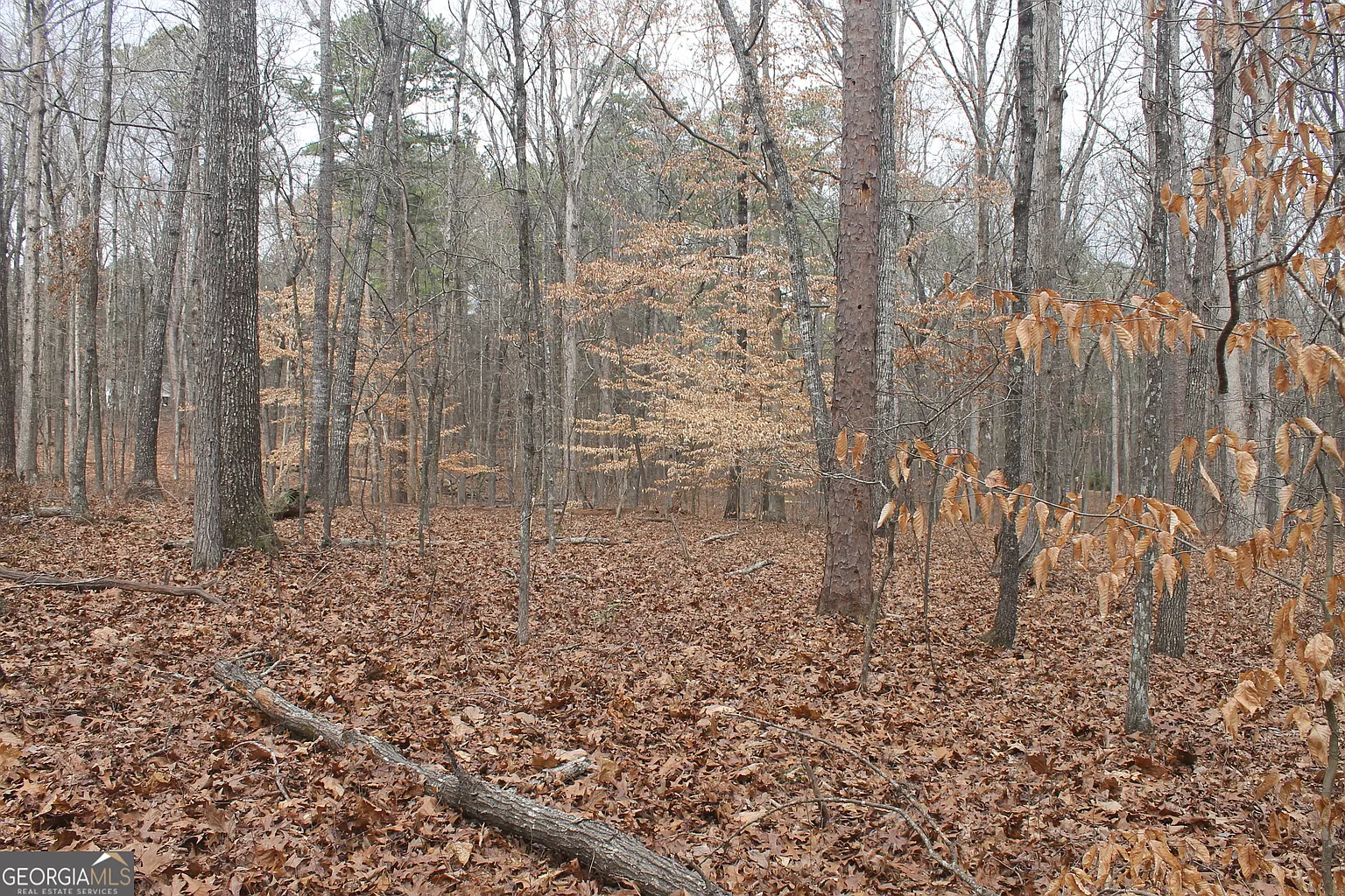 125 Woodland Rd photo 1