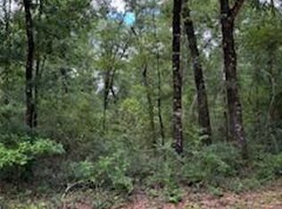 193 Seminole Ter, Defuniak Springs, FL 32433