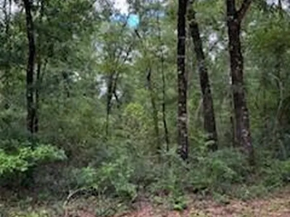 193 Seminole Ter, Defuniak Springs, FL 32433