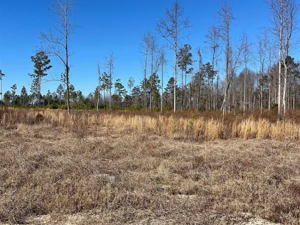 2686 Scarbrough Dr., Loris, SC 29569