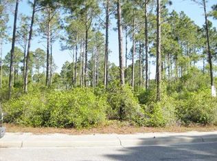132 Skimmer Ln, Carrabelle, FL 32322
