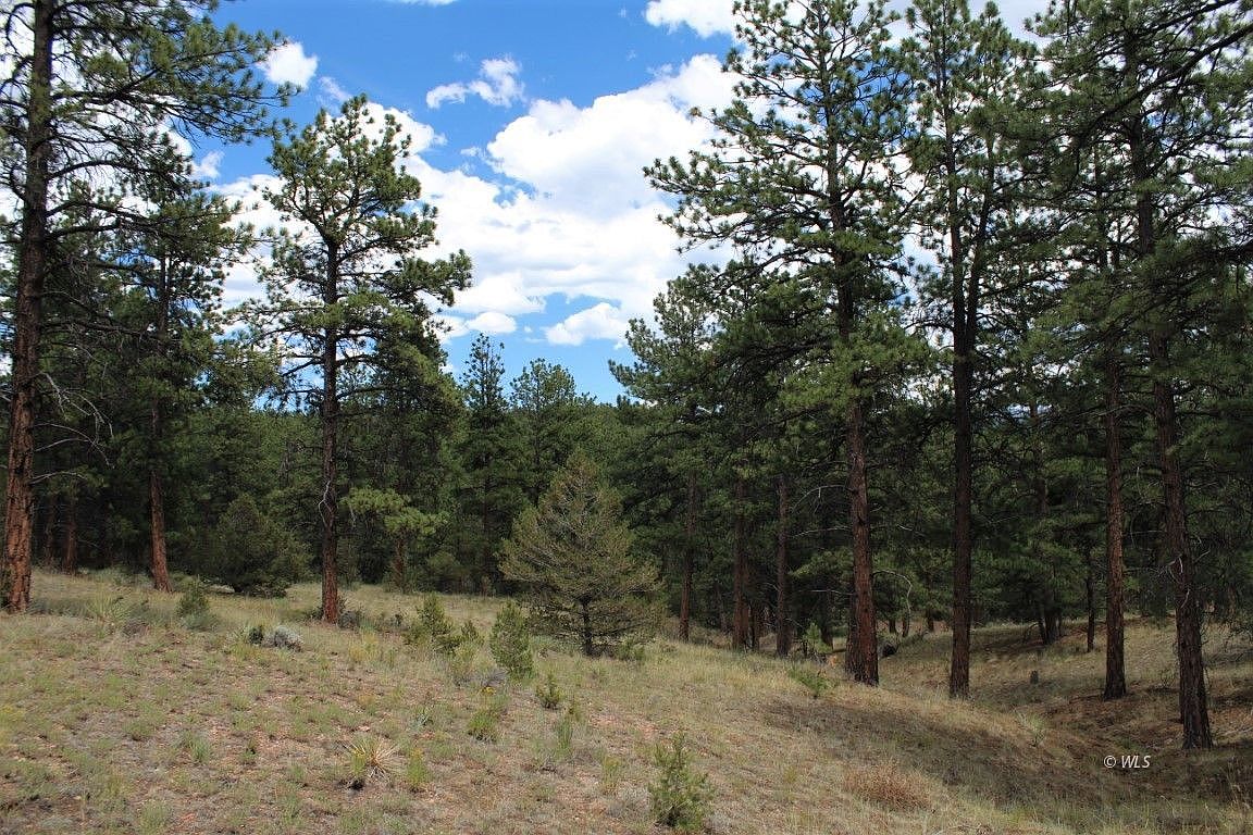 155 Ute Trl, Silver Cliff, CO 81252 MLS 2516310 Zillow