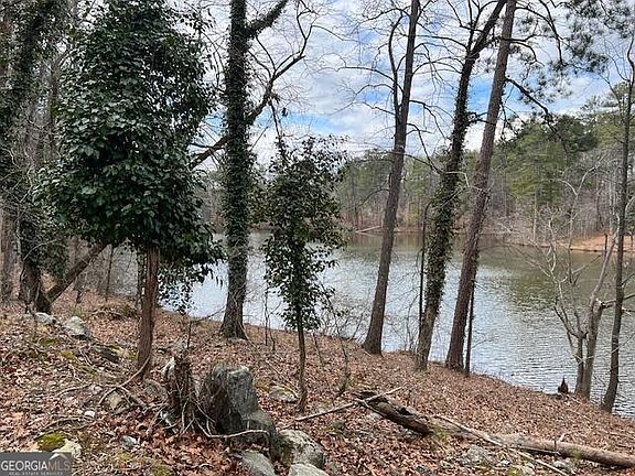 4th image of 0 Lower Dixie Lake Rd