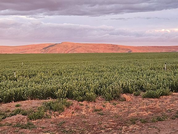 4th image of 125498 W McCreadie