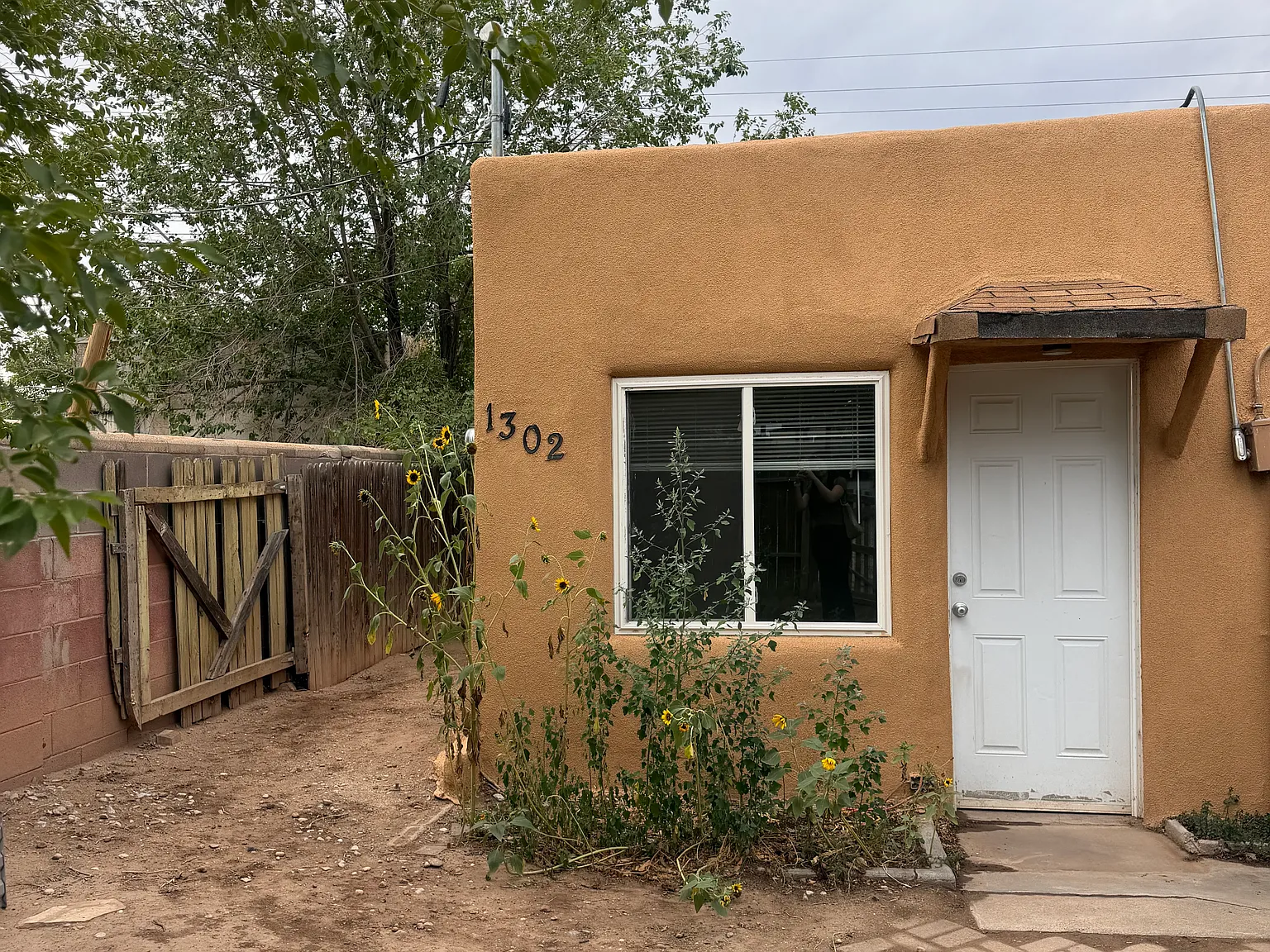 1 bed, $1,000 — Photo 1