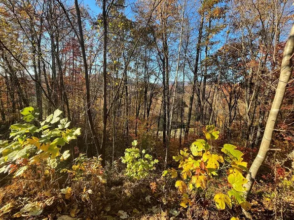 39M-40M Ridges Overlook #39-40, Hayesville, NC 28904