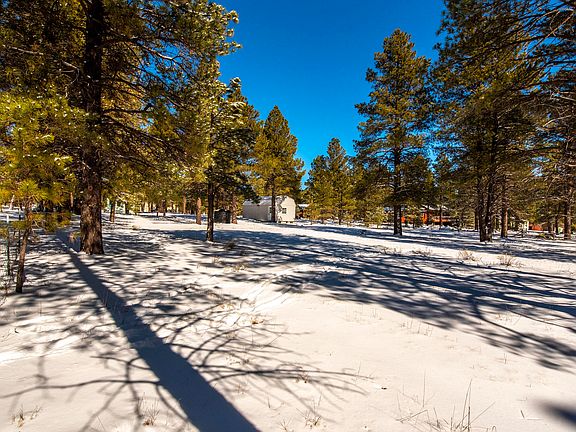 5th image of 12823 E Pine Rock Ln