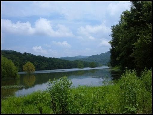1st image of Long Beard Ln