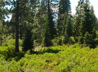 0 Echo Way LOT 6, McCloud, CA 96057