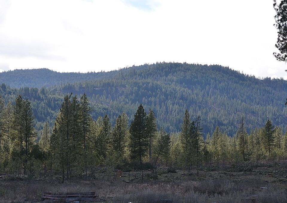 2nd image of Lynx Creek Rd