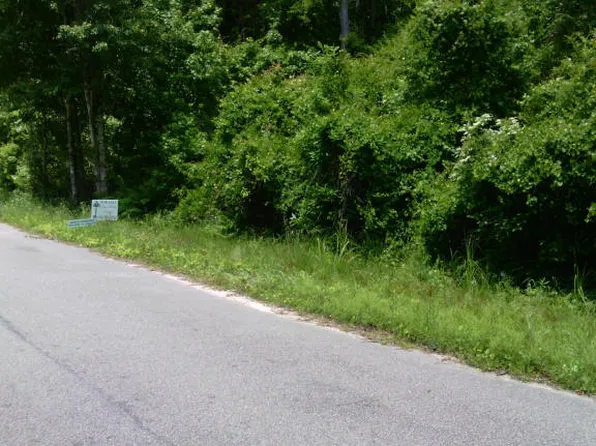 5838 San Flora Ave, Ravenel, SC 29470