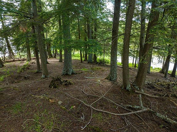 5th image of Scout Island Rd
