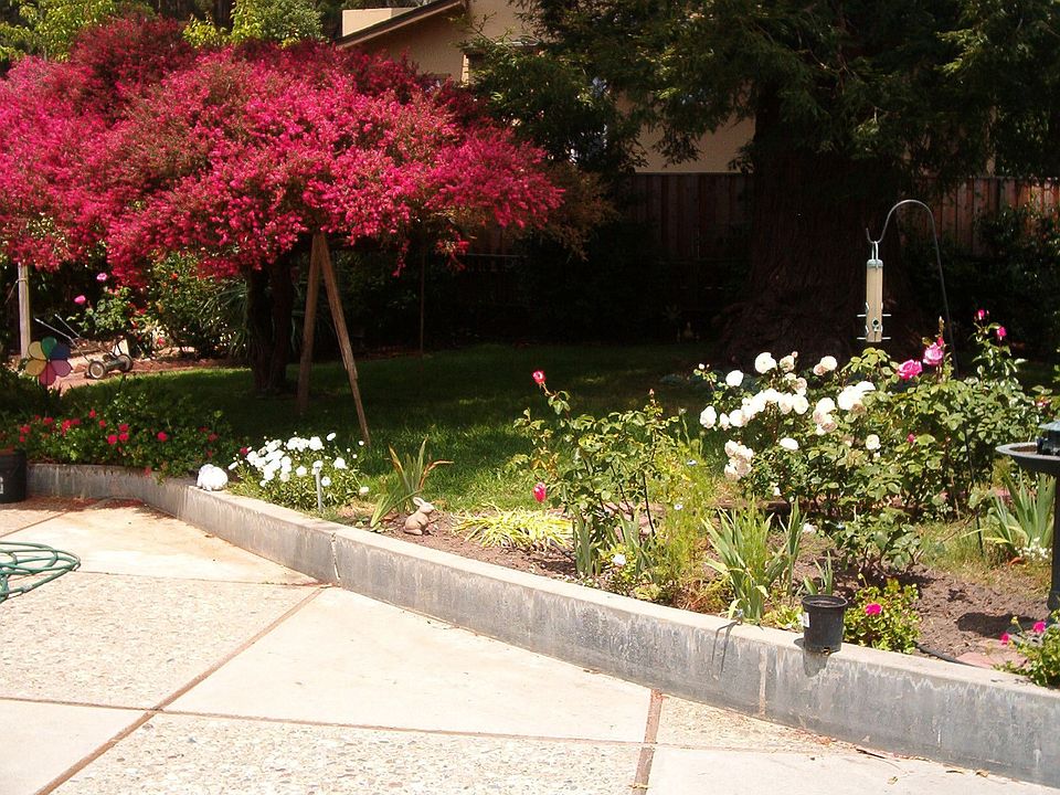 Backyard and Patio