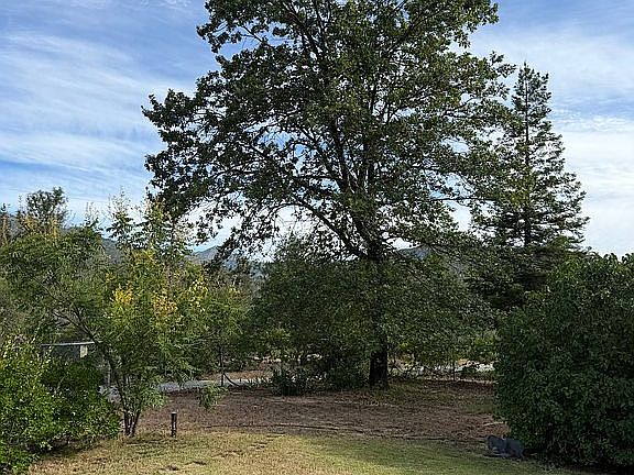 2nd image of 15231 Glendale Pines Dr