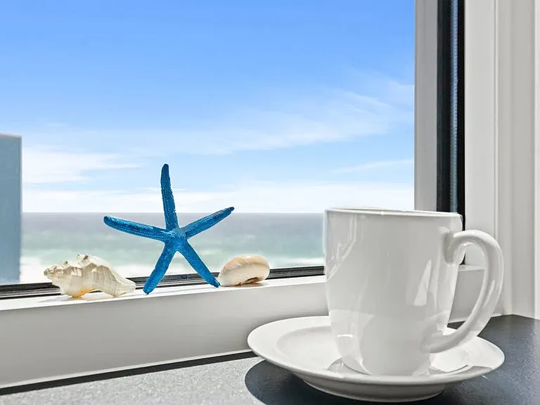 Window View