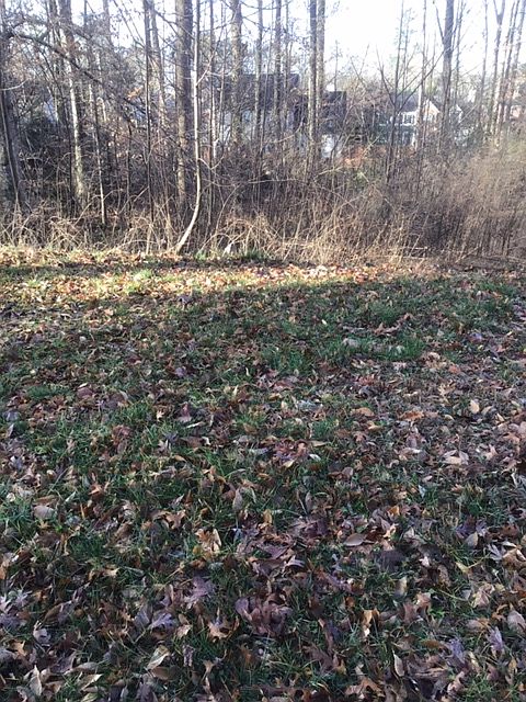 2nd image of 1625 Rambling Woods Dr Lot 0
