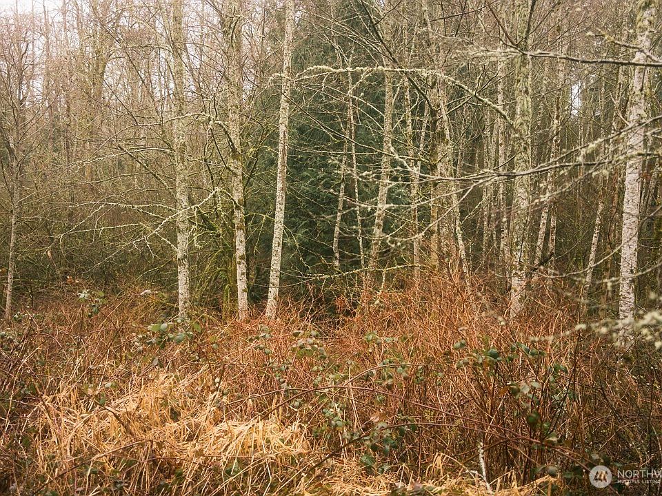 1st image of 950 Yew Street