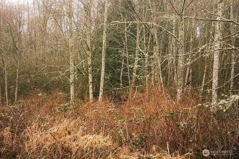 5th image of 0 Princeton Court