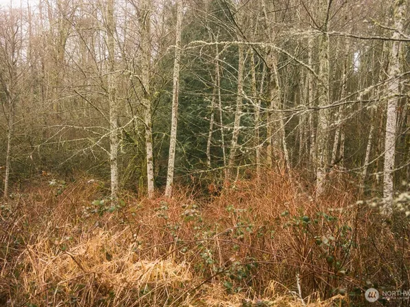 950 Yew Street, Bellingham, WA 98229