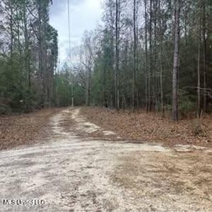 100 Marty Ln, Perkinston, MS, 39573
