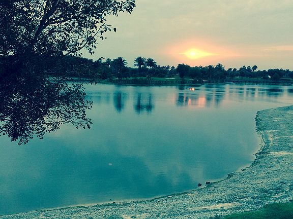View with Sunset