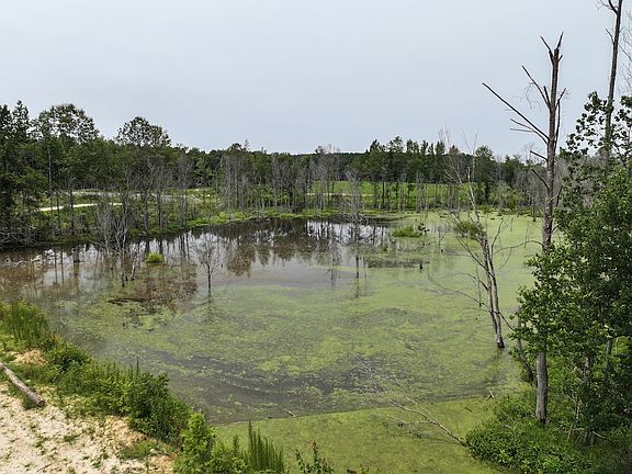 5th image of 0 Nash County Line Rd
