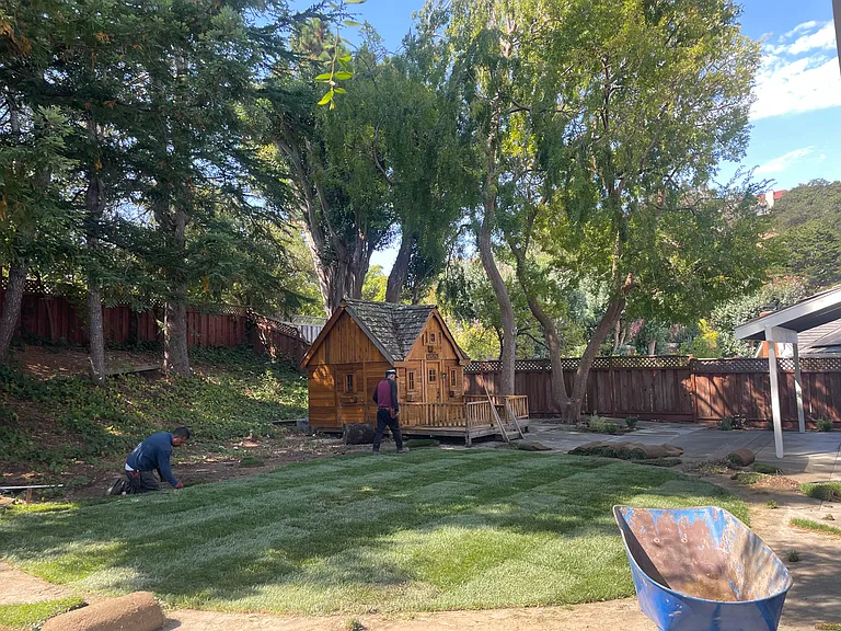 Back yard with new lawn and playhouse