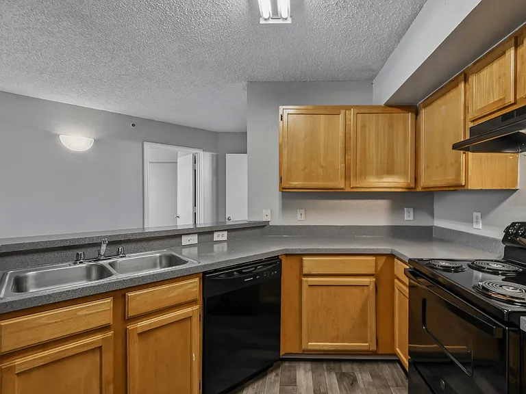 Spacious kitchen with wraparound countertops, double-basin sink, dishwasher, and wood cabinetry in a 1-bedroom apartment at Gregory Cove in Jacksonville, FL.