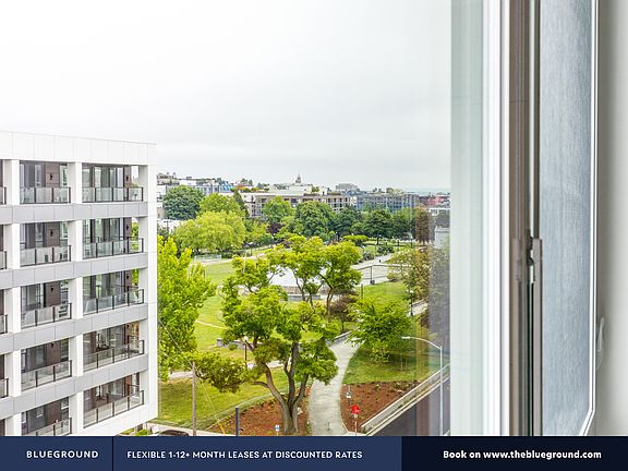 Window View
