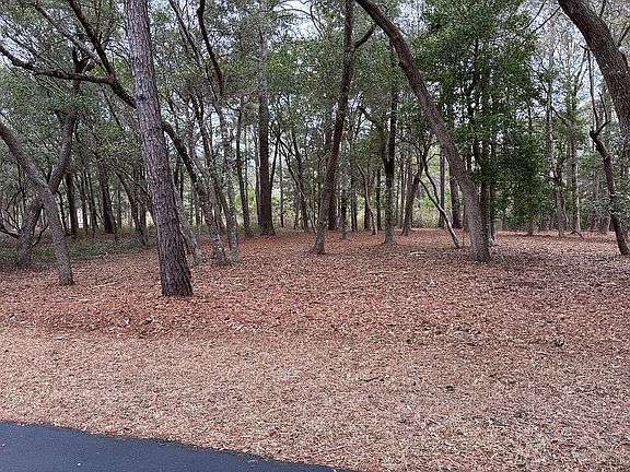 3rd image of 790 Heron Cir