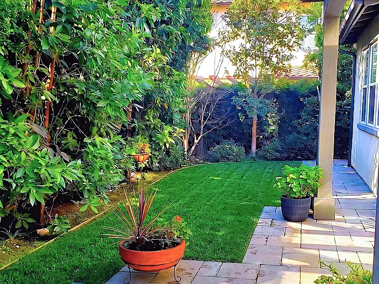 Backyard Lawn