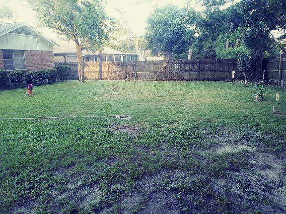 Backyard-facing east