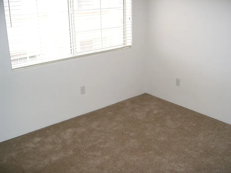 500 N Forgeus Ave #100 — Photo 11