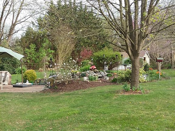 Backyard-.66 acres