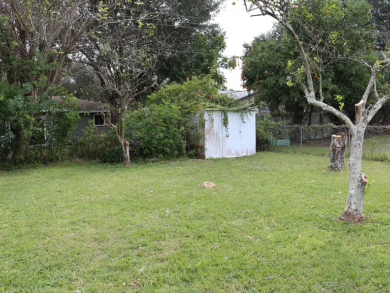 back yard