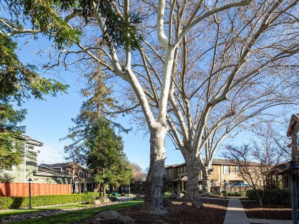 san-jose-california-68968601 picture