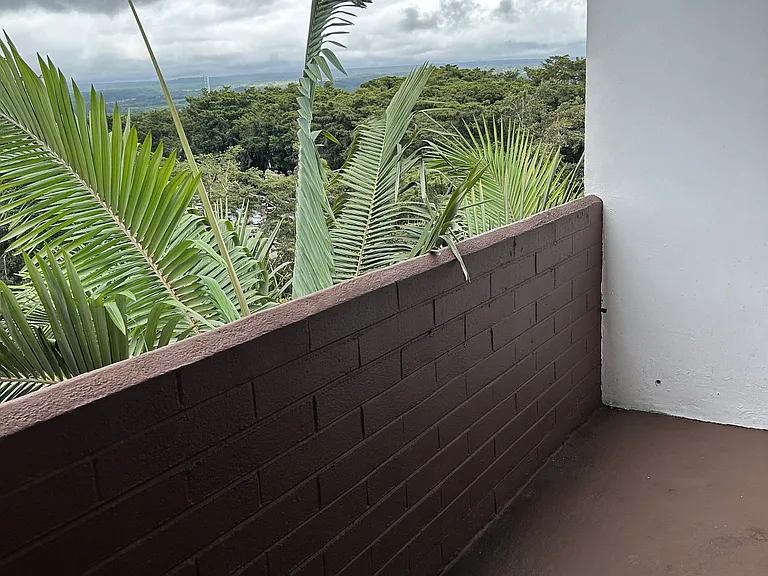 Lehua St — Photo 14