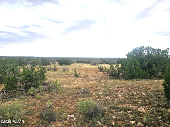5075 Sidlyn Rd, Heber, AZ 85928