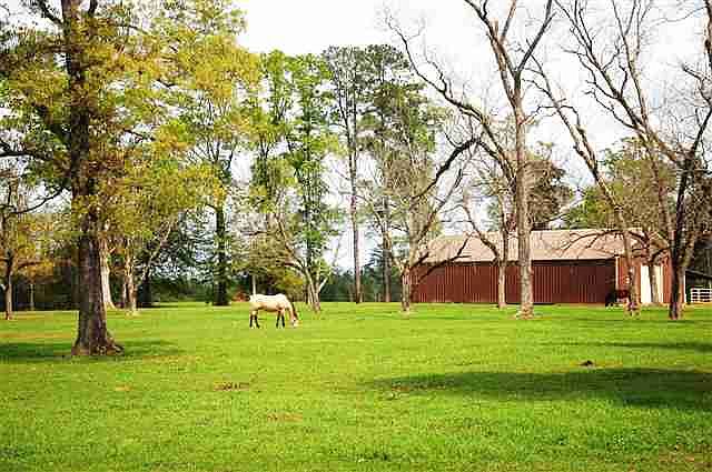 1st image of 1436 County Road 3075