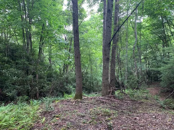 LOT 24 Summit View Dr, Topton, NC 28781